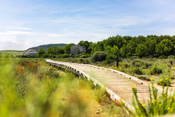 Chemin de randonnée du Bois des Aresquiers (Occitanie, France)