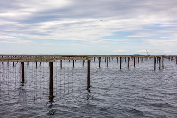 Fototapeta premium Vue sur les parcs à huîtres de l’Étang de Thau (Occitanie, France)