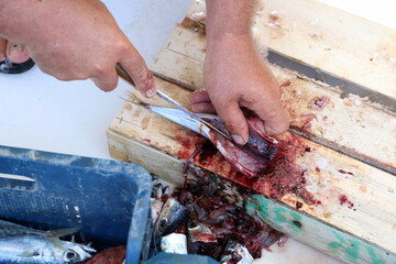 Man cutting fresh fish before selling to customers in the fish market.