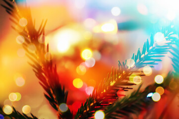 Fototapeta na wymiar Colorful garland lights and Christmas tree branches.
