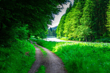 Hiking along Ilz Valley between Schneidermühle und Schrottenbaummühle