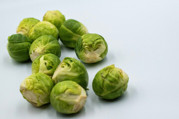 Fototapeta premium Sprouts in with white background
