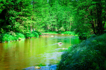 Hiking along Ilz Valley between Schneidermühle und Schrottenbaummühle