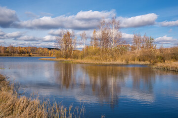 beautiful autumn landscape with a view of trees with yellow foliage on the lake shore