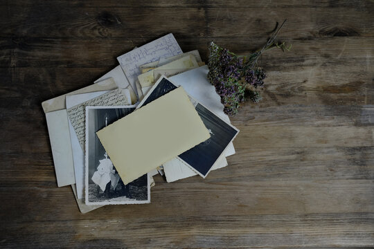 stack of retro monochrome photographs of 50-60s on natural wooden table, reverse side of photo, dried flowers, concept of family tree, genealogy, connection with ancestors, memories of youth
