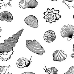 Vector seamless pattern of detailed, realistic, various outline sea shells, in black color, on white background