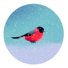 The snowbird