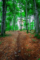 Obraz premium HIking around Dragon Lake in the Bavarian Forests