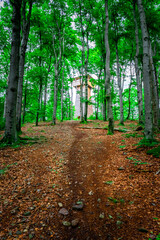 HIking around Dragon Lake in the Bavarian Forests