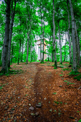 HIking around Dragon Lake in the Bavarian Forests