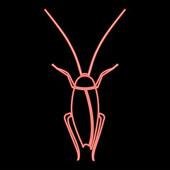 Neon cockroach red color vector illustration flat style image