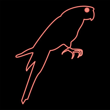 Neon parrot red color vector illustration flat style image