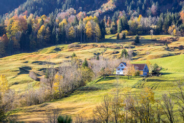 Village in Swiss Appenzellerland in autumn season atmosphere of morning softlight