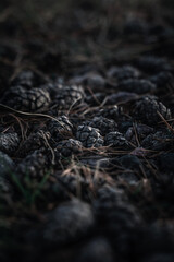 texture