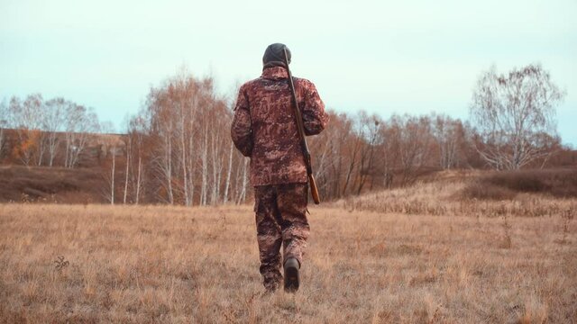 A hunter with a shotgun walks through an autumn field