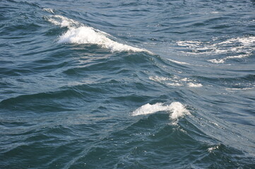 Fototapeta premium wave of the sea