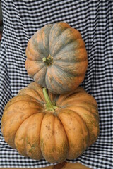 fall pumpkins
