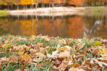 A grass lawn with foliage and autumn forest reflected on the water