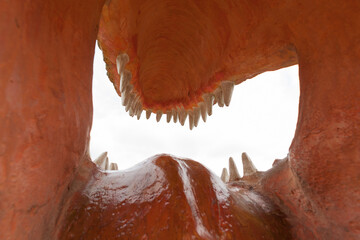 the mouth of a monster with large and sharp teeth. view from inside
