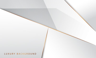 luxury white background with golden lines