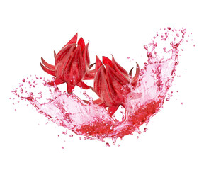 Hibiscus (Roselle, jamaica) juice splash isolated on white background.