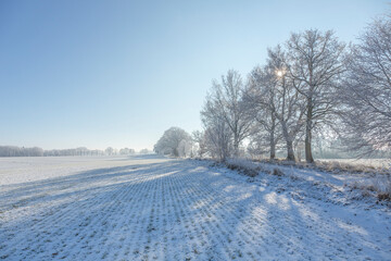Winter Idyll In The North Of Germany