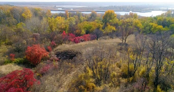 Scenic aerial view of autumn yellow-red forest on the river bank