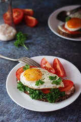 Sandwiches with fried eggs and tomatoes	