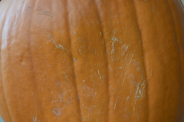 Fototapeta premium close up of pumpkin texture