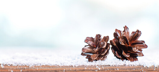 Two cones on a snow-covered wooden plank