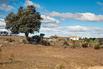 Granja en Navahermosa. Toledo. España. Europa.