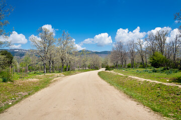Montes Carpetanos. Madrid. España. Europa.