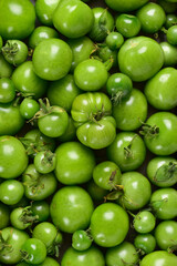 Green tomatoes of different sizes.