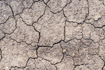 Cracked earth texture of ground, broken and rough surface gray mud clay soil in summer season, cracked ground floor on arid drought environment