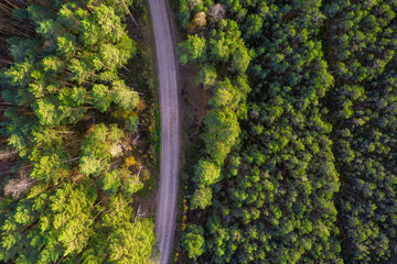 Aerial view from drone of rural road leading through autumn forests and groves in yellow green colors. Dense forest in golden time and empty highway in fall season. Roadway among colorful treetops