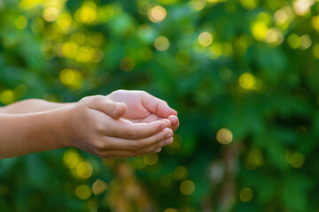 The child is holding hands asks. Selective focus.