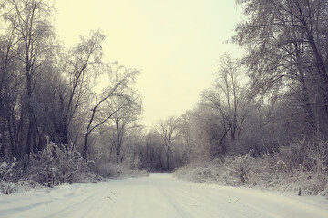 Fototapeta premium winter forest landscape covered with snow, december christmas nature white background