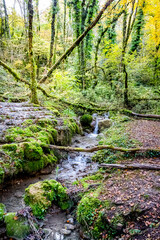 La Brive dans les montagnes du Bugey