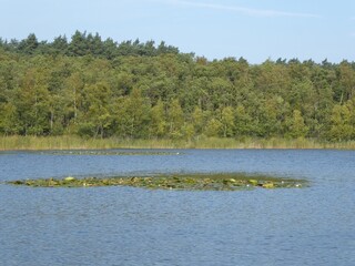 The Granzower Moeschen, a lake in the Mecklenburg Lake District, Mecklenburg-Western Pomerania, Germany, offers pure natural idyll