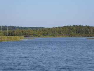 The Granzower Moeschen, a lake in the Mecklenburg Lake District, Mecklenburg-Western Pomerania, Germany, offers pure natural idyll