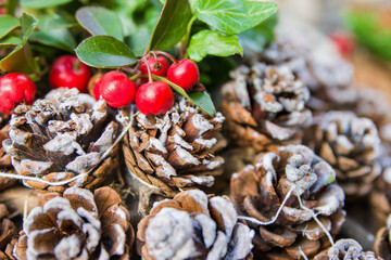 red Christmas berries and cones on the snow