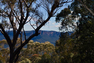 Fototapeta na wymiar A view in the Blue Mountains at Wentworth Falls