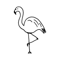 Beautiful flamingo standing on one leg in doodle style. Southern bird. Hand drawn illustration.