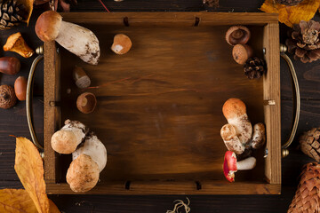 Large and small Forest mushrooms in wooden box on a dark background . Vegetarian food