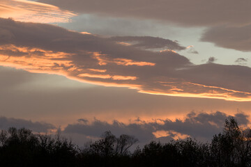 autumn by the lake in the woods