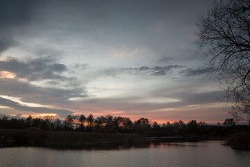 Obraz premium autumn by the lake in the woods