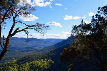 Jamison Valley in the Blue Mountains