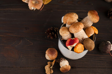 Forest mushrooms on wooden background