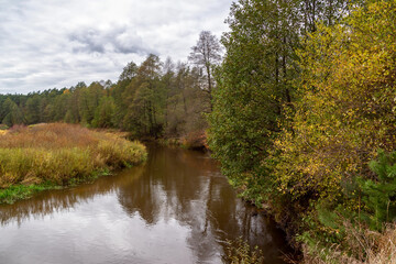 Fototapeta premium Jesień w Dolinie Górnej Narwi, Podlasie, Polska