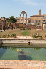 a temple in the back 